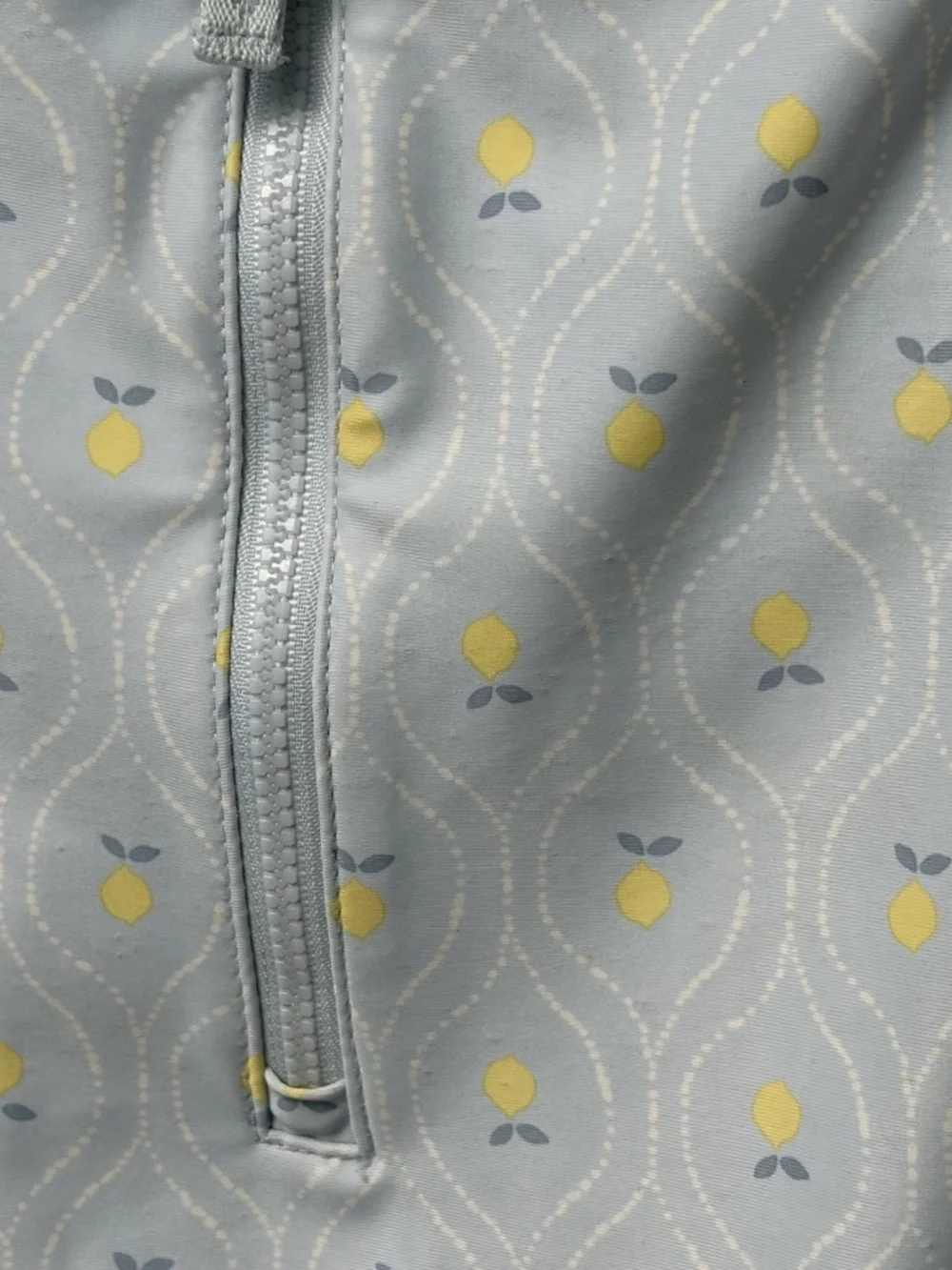 Carter's Girls 3T Long Sleeve Front Zip One Piece Swimsuit Fruit Blue Yellow